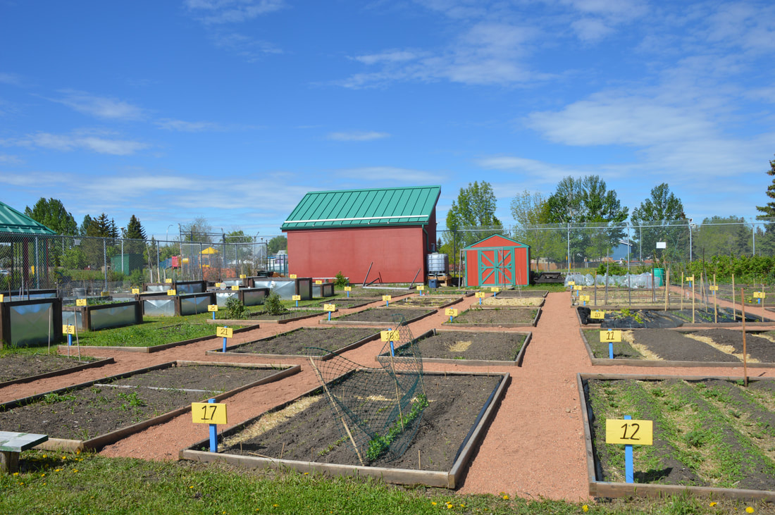 July In The Community Garden