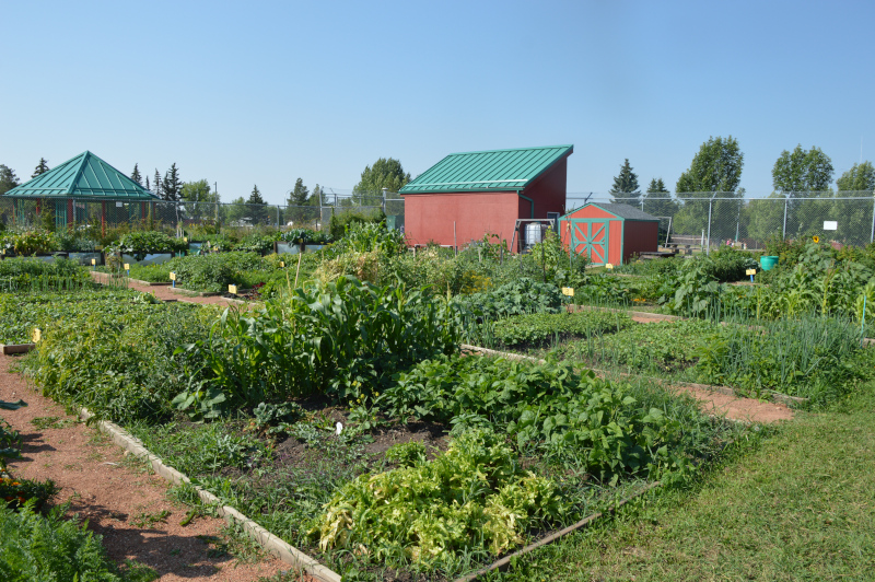 Community Garden Plots