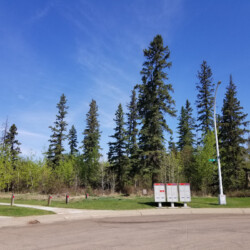 Entrance to the park in summer