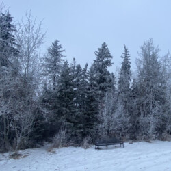 Winter Trails from 32 Ave